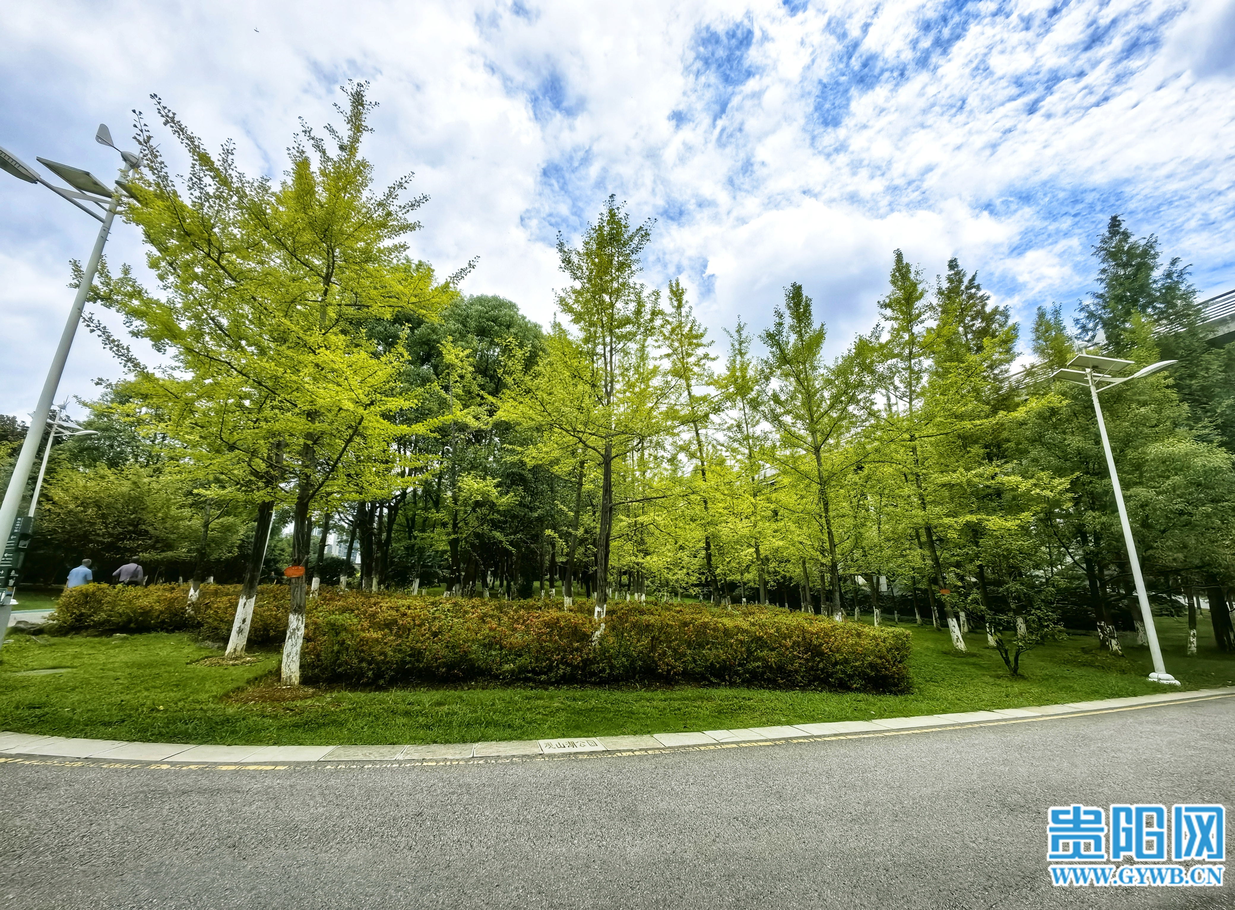 图集观山湖公园初秋秋色渐显现公园打卡添新景