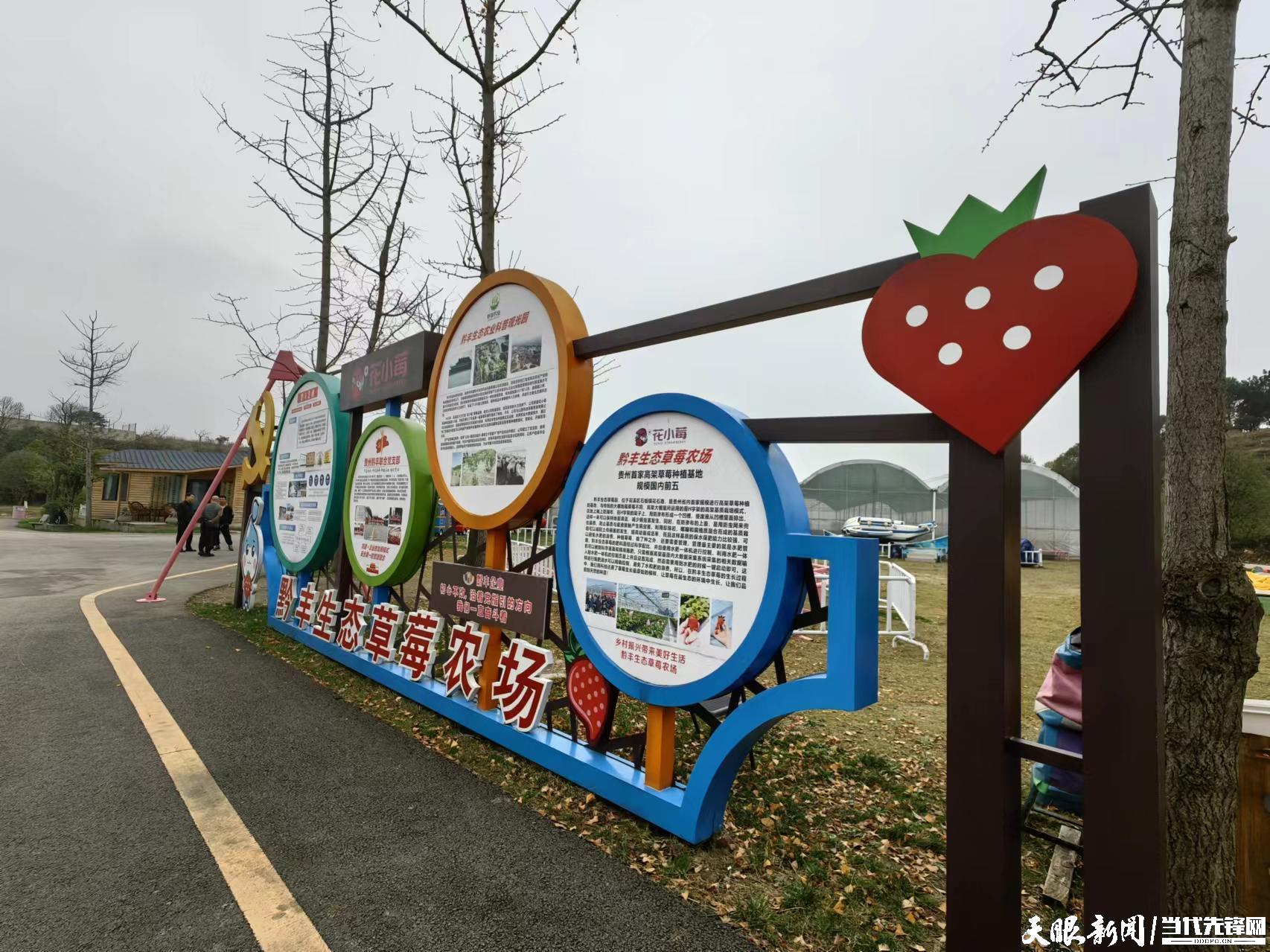 一颗草莓价值492亿元花小莓品牌成长之路观察