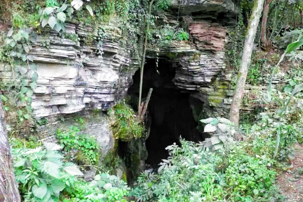 微信图片_20240605095517