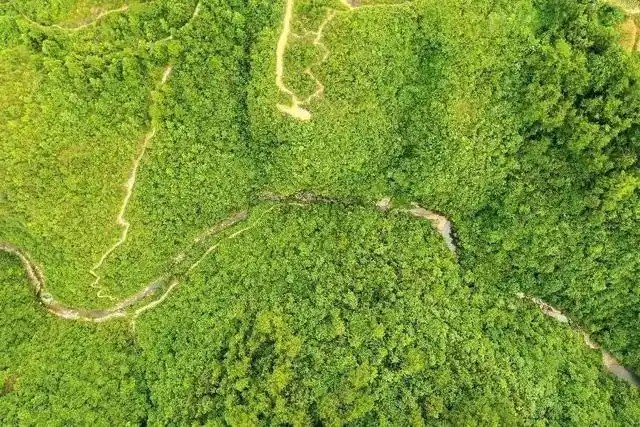 红军集体跳崖的困牛山虎井沟
